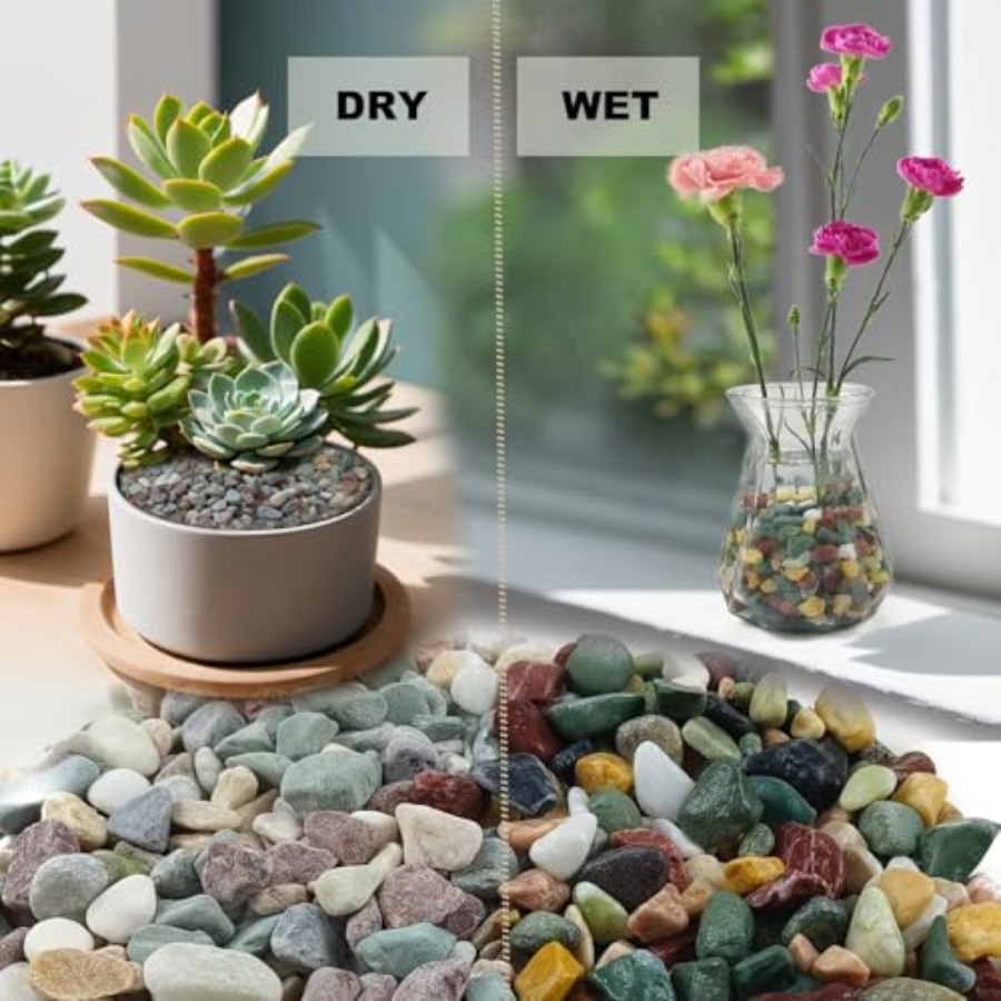 45LB Succulents Rocks for Plan - مراجعة Planted Aquarium With Rocks وسعره