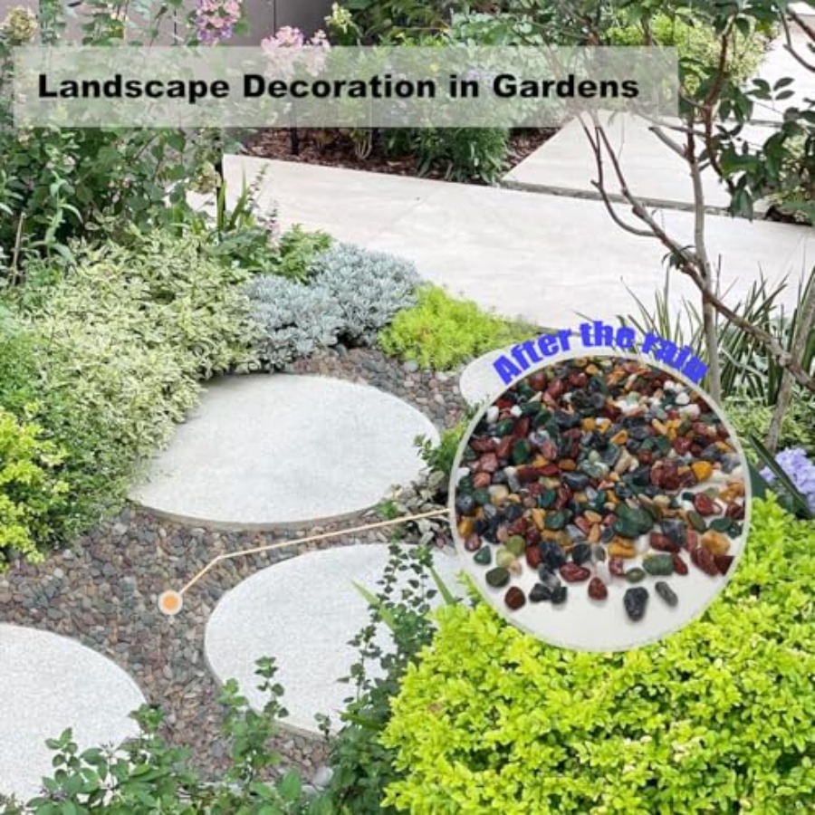 45LB Succulents Rocks for Plan - مراجعة Planted Aquarium With Rocks وسعره