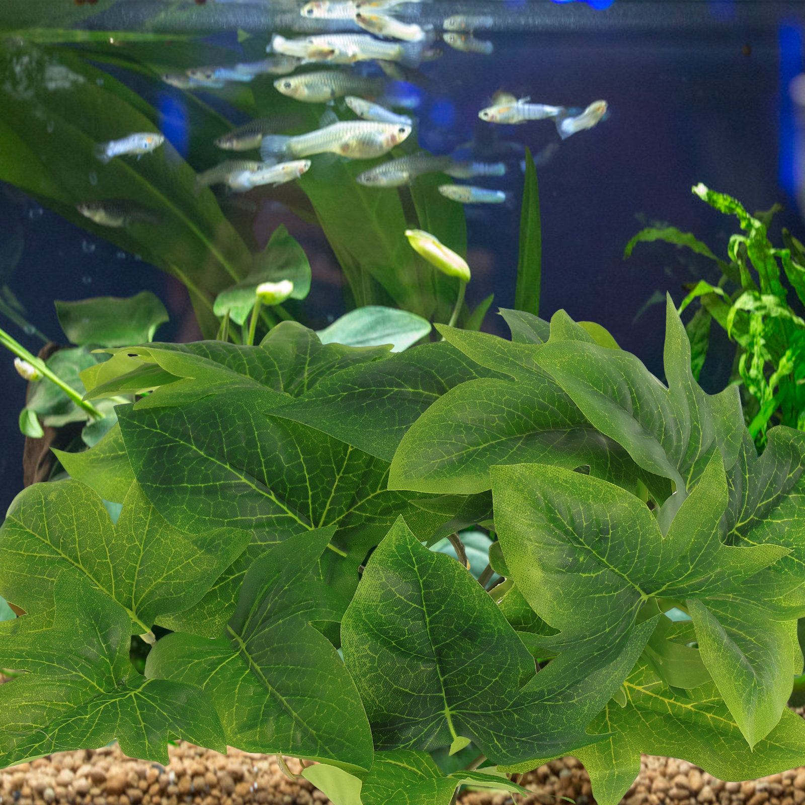 Reptile Terrarium Plant Hangin - مراجعة Aquarium Plant Vine وسعره