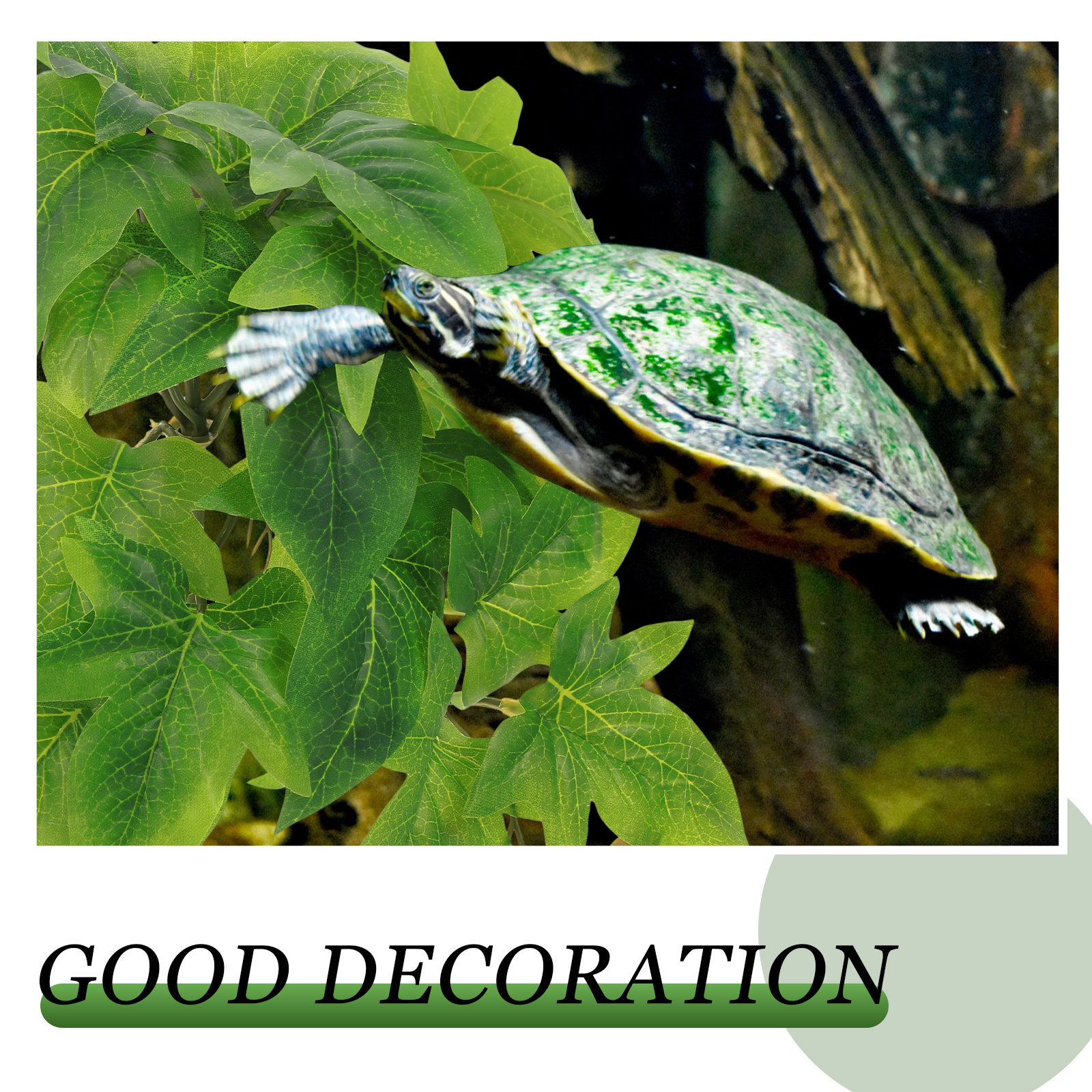 Reptile Terrarium Plant Hangin - مراجعة Aquarium Plant Vine وسعره