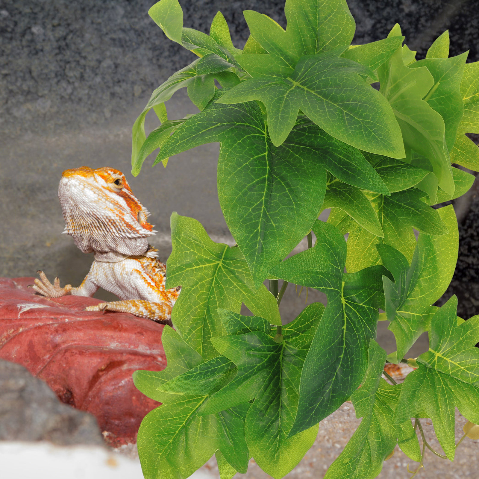 Reptile Terrarium Plant Hangin - مراجعة Aquarium Plant Vine وسعره