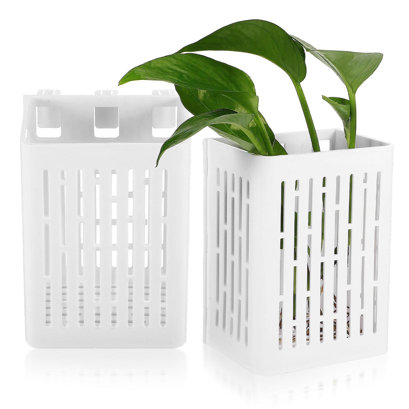 2pcs Aquarium Plant Baskets Pl - مراجعة Planted Aquarium With Fish وسعره