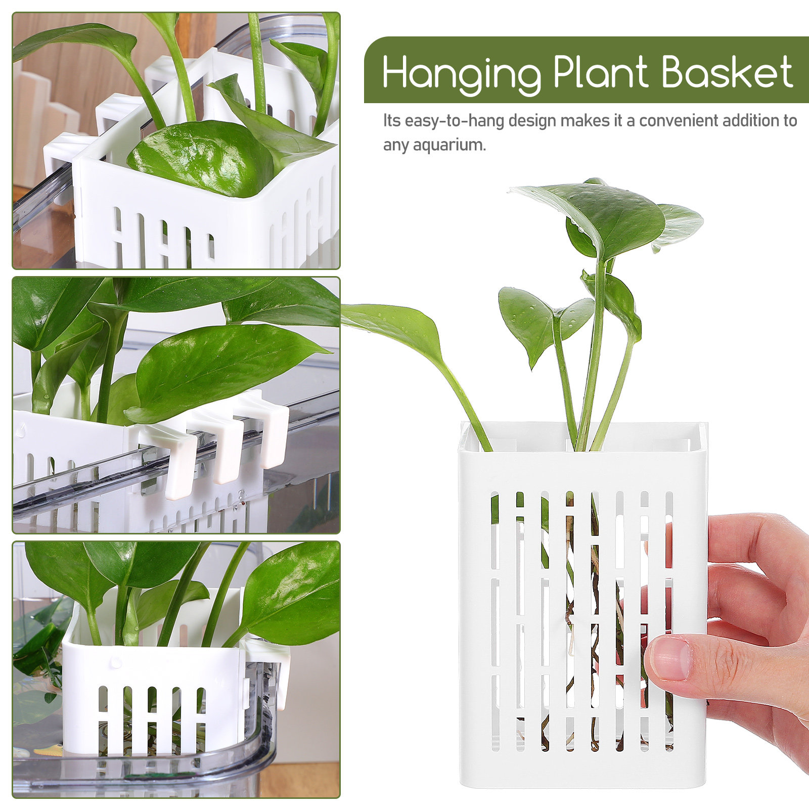 2pcs Aquarium Plant Baskets Pl - مراجعة Planted Aquarium With Fish وسعره