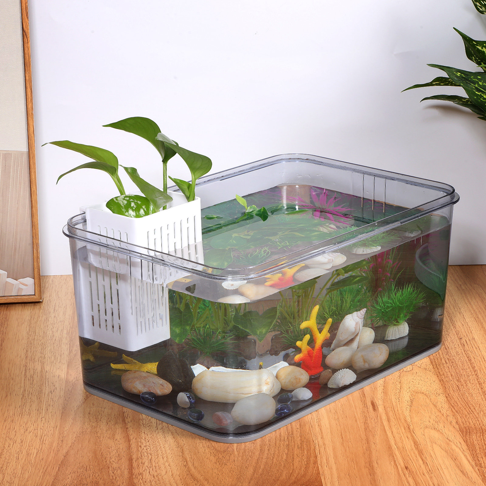 2pcs Aquarium Plant Baskets Pl - مراجعة Planted Aquarium With Fish وسعره