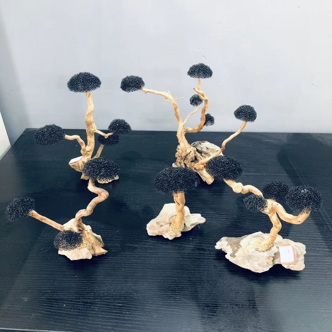 Fish Tank Plant Moss Tree Deco - مراجعة Planted Aquarium Without Fish وسعره