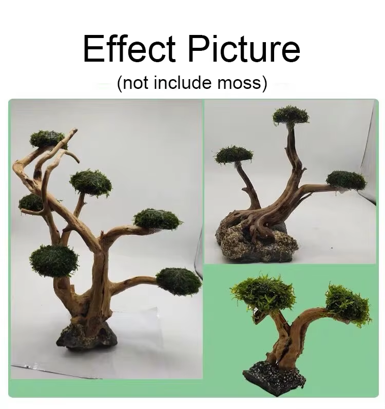 Fish Tank Plant Moss Tree Deco - مراجعة Planted Aquarium Without Fish وسعره