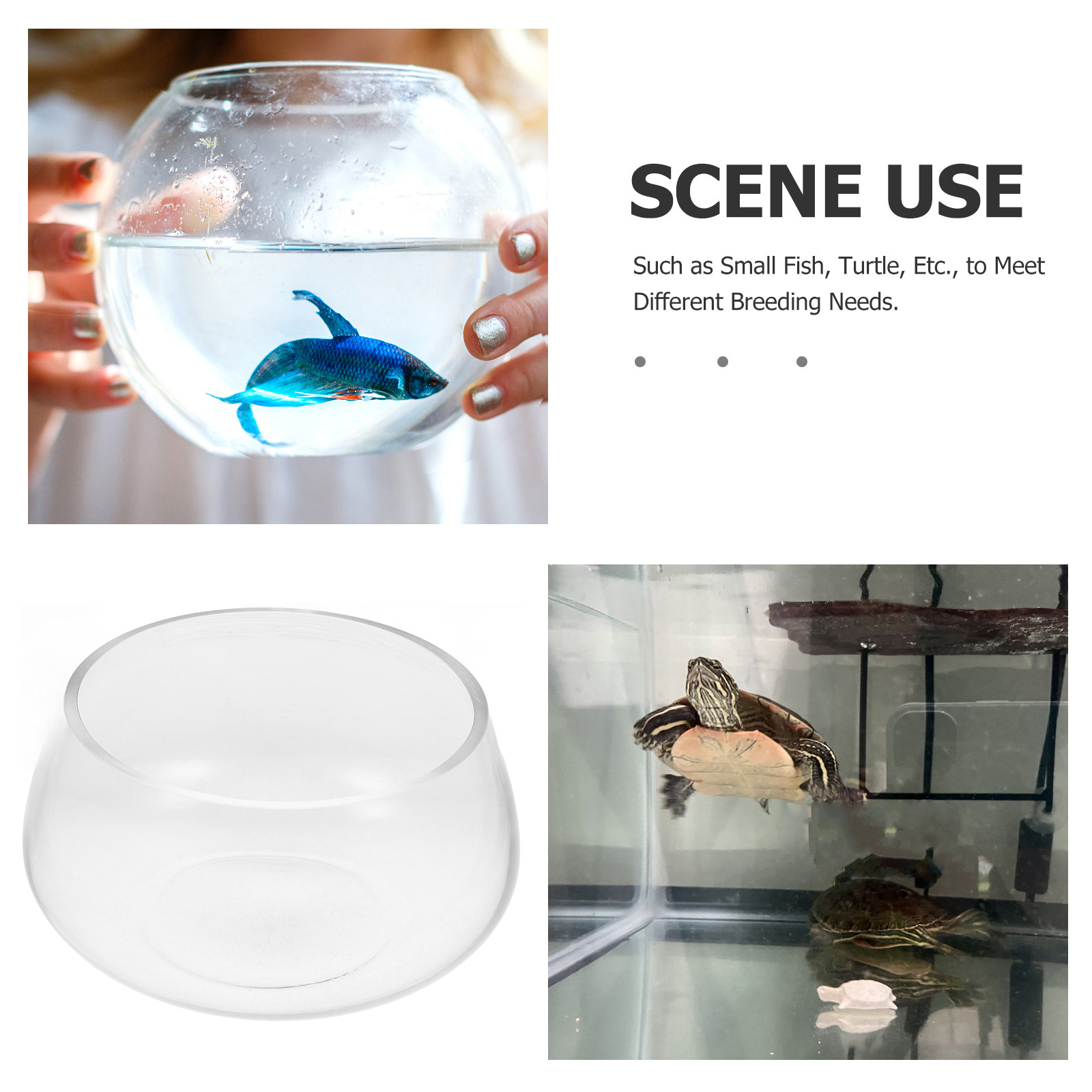 Round Clear Glass Mini Aquariu - مراجعة Aquarium Planted Shop وسعره