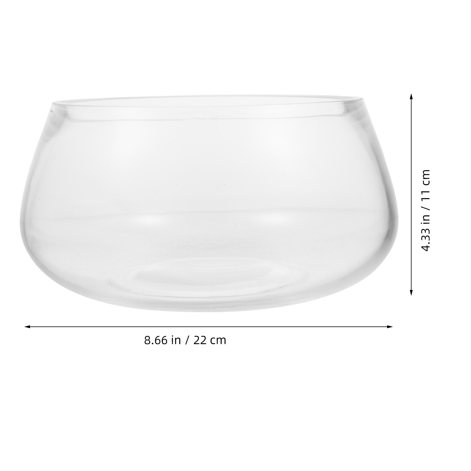 Round Clear Glass Mini Aquariu - مراجعة Aquarium Planted Shop وسعره