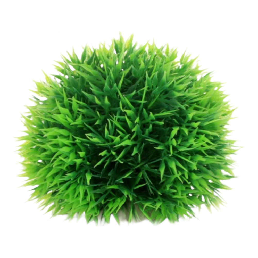 PE Aquarium Decor Artificial P - مراجعة Planted Aquarium With Fish وسعره