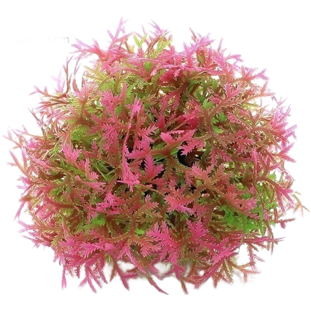 PE Aquarium Decor Artificial P - مراجعة Planted Aquarium With Fish وسعره