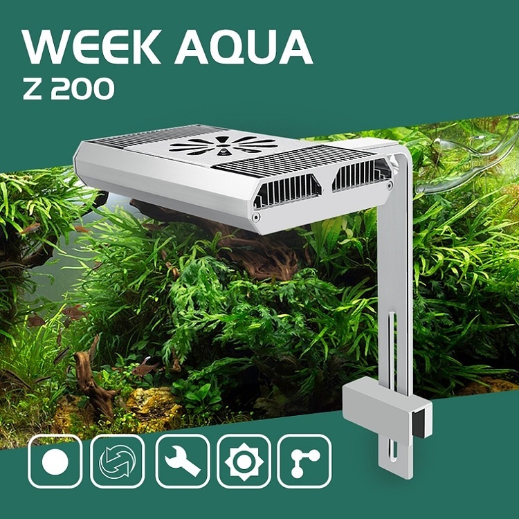 Full Spectrum Fish Tank Light  - مراجعة Planted Aquarium With Fish وسعره