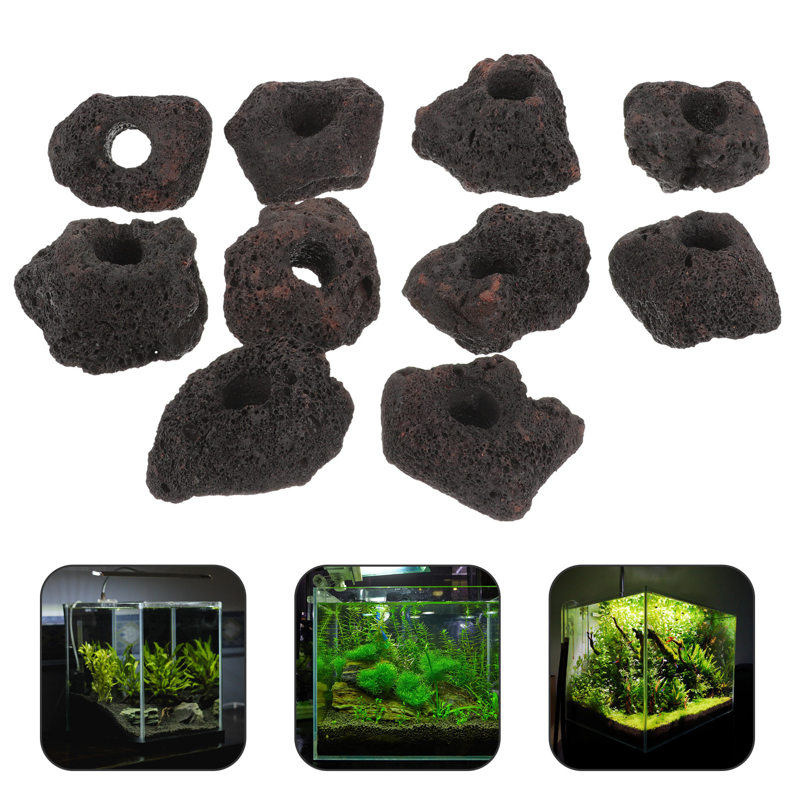 10Pcs Volcanic Rocks Fixed Rin - مراجعة Planted Aquarium With Rocks وسعره