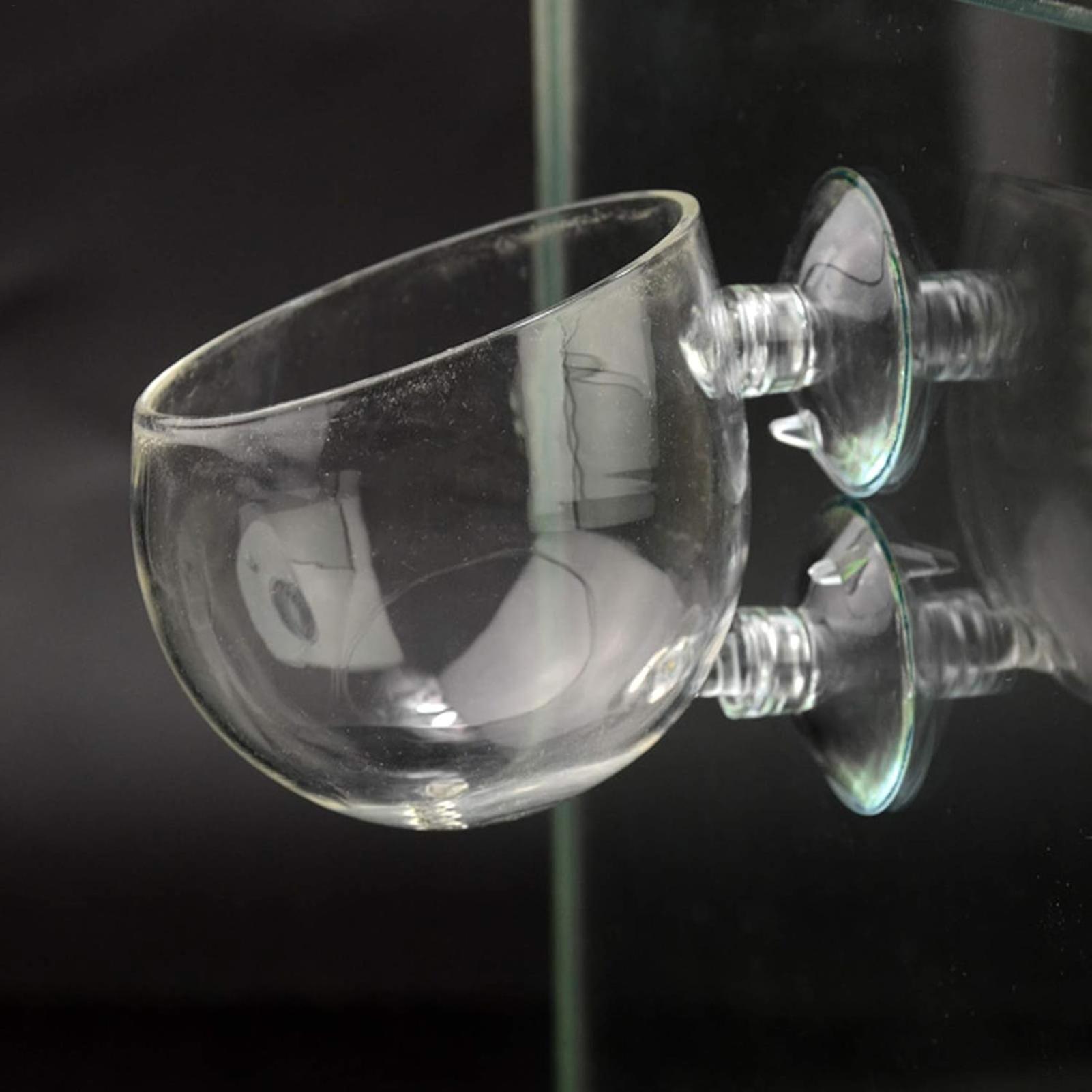 Aquarium Plant Holder Glass Aq - مراجعة Aquarium Plant Vine وسعره
