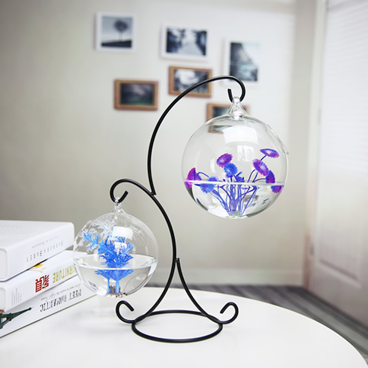 Creative Double-deck Suspended - مراجعة Planted Aquarium Bowl وسعره