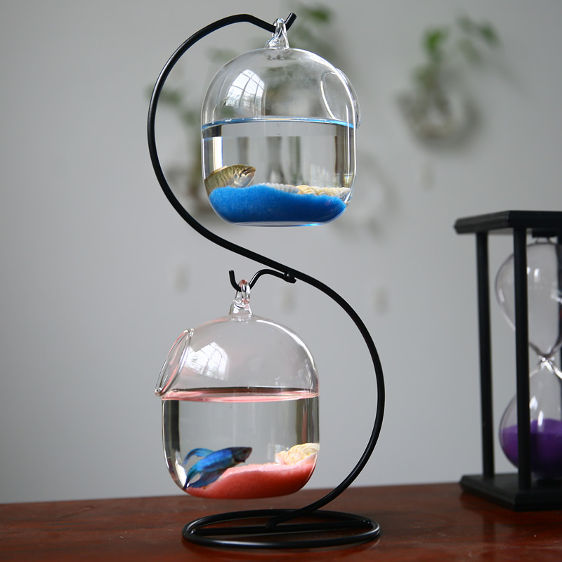Creative Double-deck Suspended - مراجعة Planted Aquarium Bowl وسعره