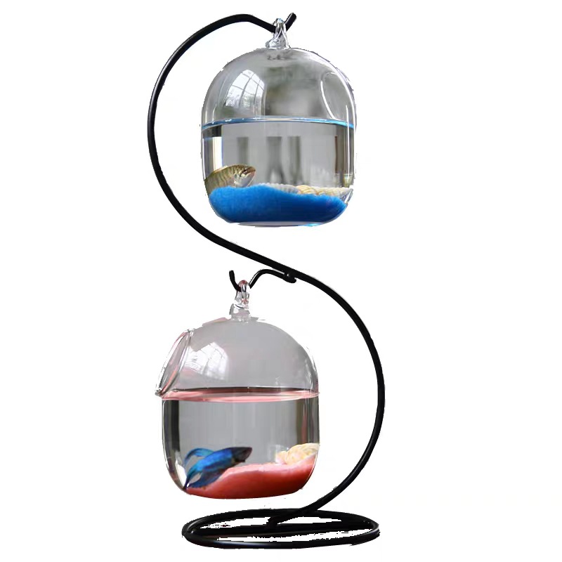 Creative Double-deck Suspended - مراجعة Planted Aquarium Bowl وسعره