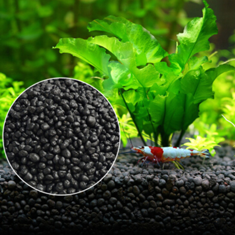 Aquarium Plant Seeds Soil Fish - مراجعة Planted Aquarium With Fish وسعره