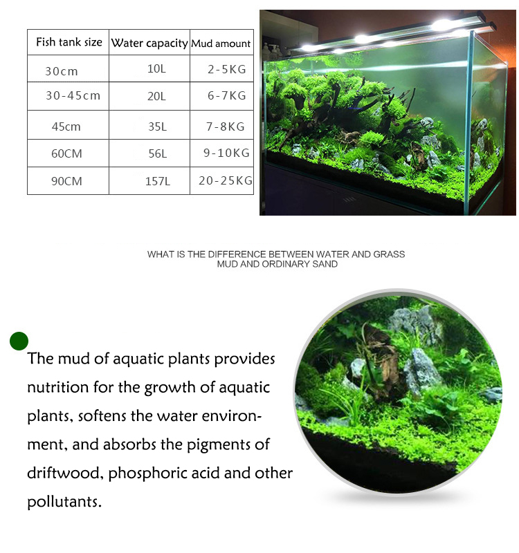 Aquarium Plant Seeds Soil Fish - مراجعة Planted Aquarium With Fish وسعره
