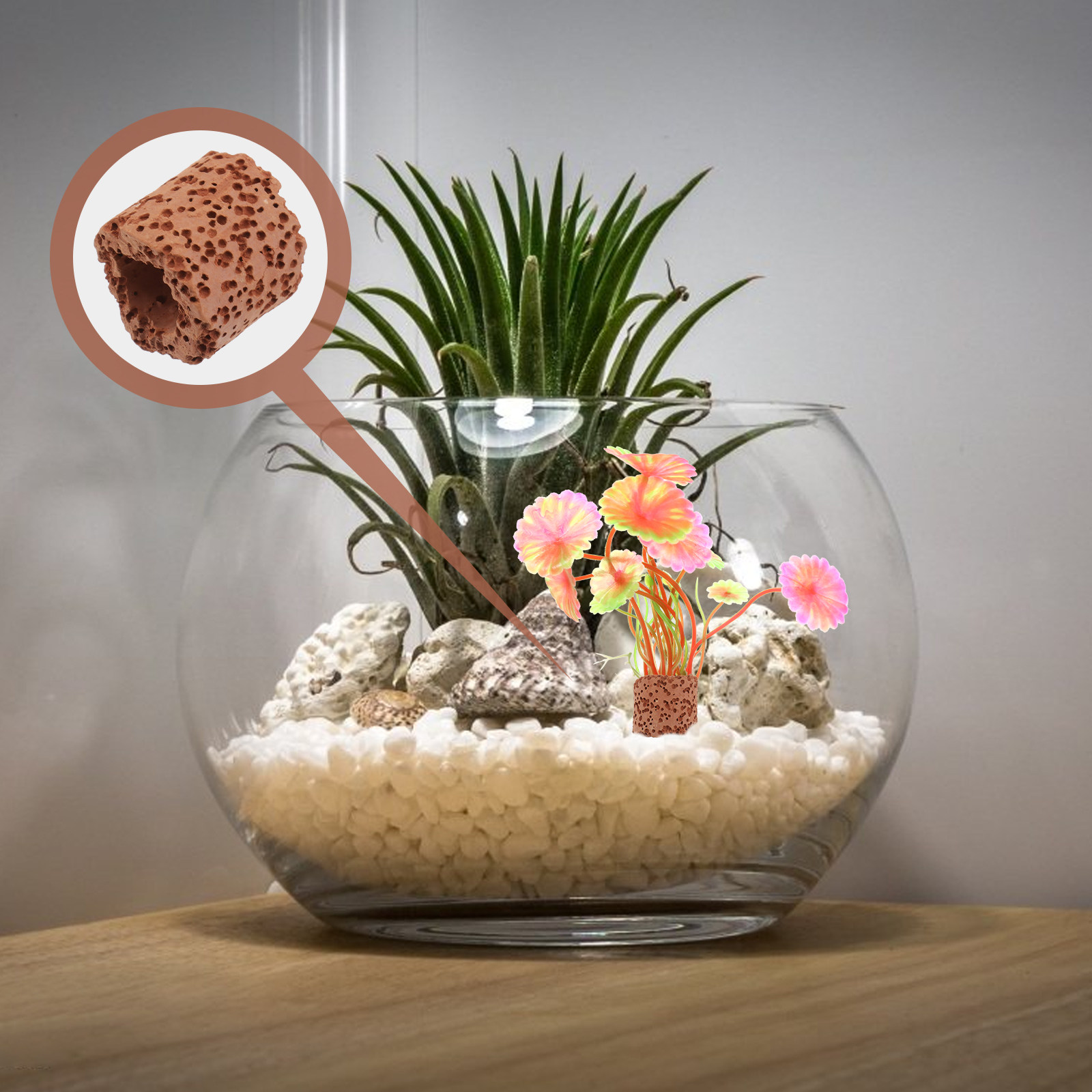 10Pcs Water Plant Fixed Ring H - مراجعة Planted Aquarium With Fish وسعره