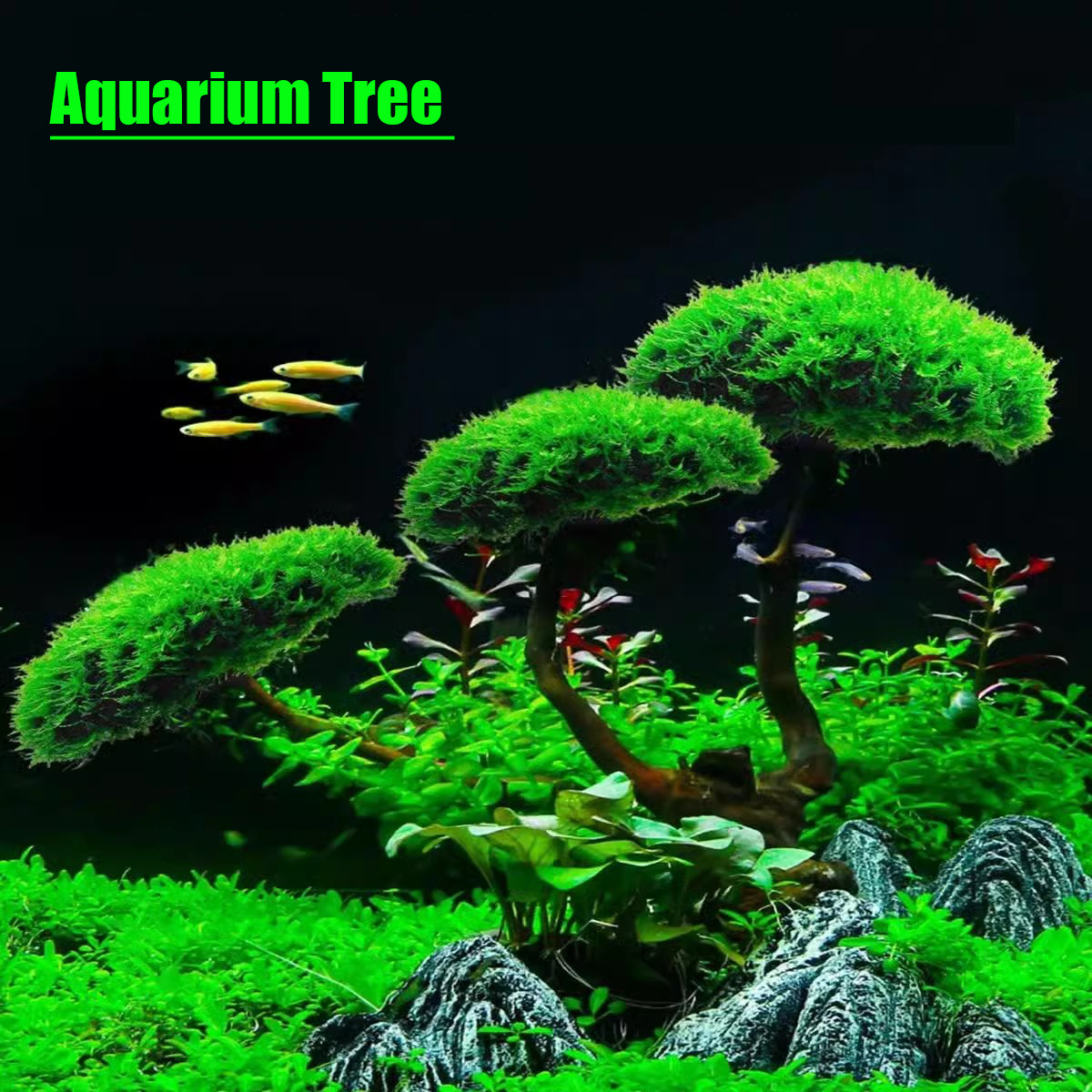 Aquarium Decoration Plant Moss - مراجعة Planted Aquarium Without Fish وسعره