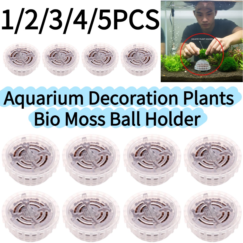 1-5PCS Aquarium Decoration Pla - مراجعة Aquarium Planted Background وسعره