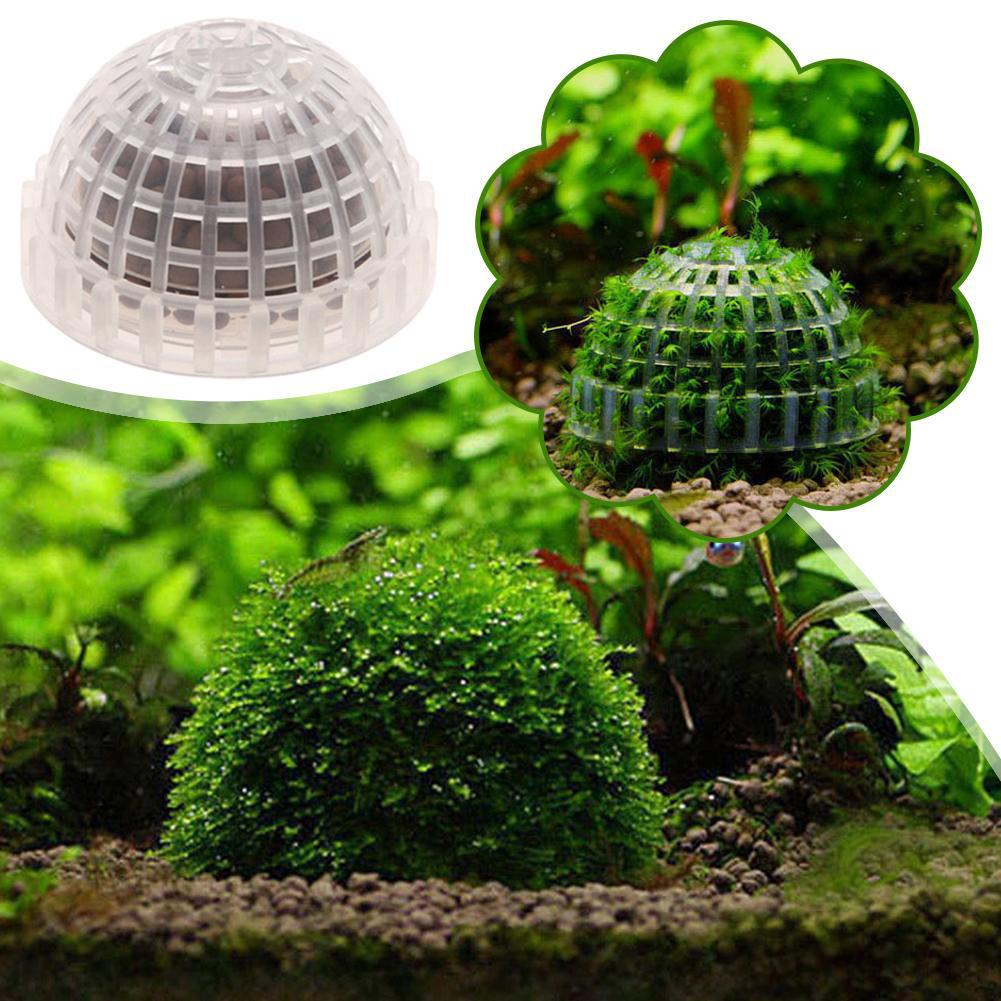 1-5PCS Aquarium Decoration Pla - مراجعة Aquarium Planted Background وسعره