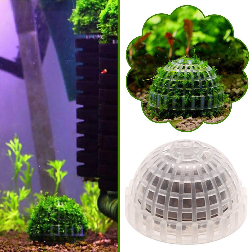 1-5PCS Aquarium Decoration Pla - مراجعة Aquarium Planted Background وسعره