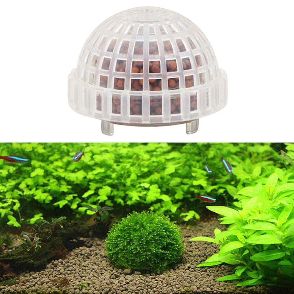 1-5PCS Aquarium Decoration Pla - مراجعة Aquarium Planted Background وسعره