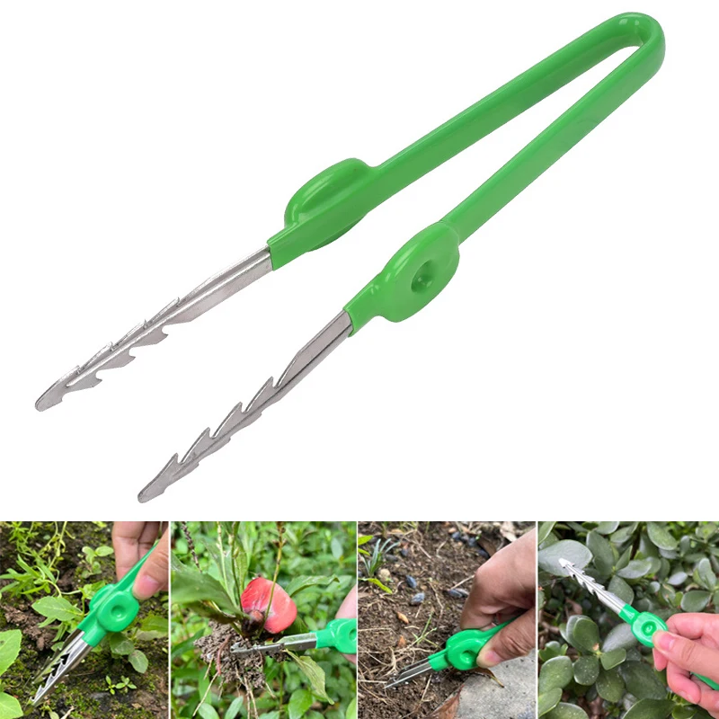 1Pc Gardening Tweezers Succule - مراجعة Planted Clip Tweezers وسعره