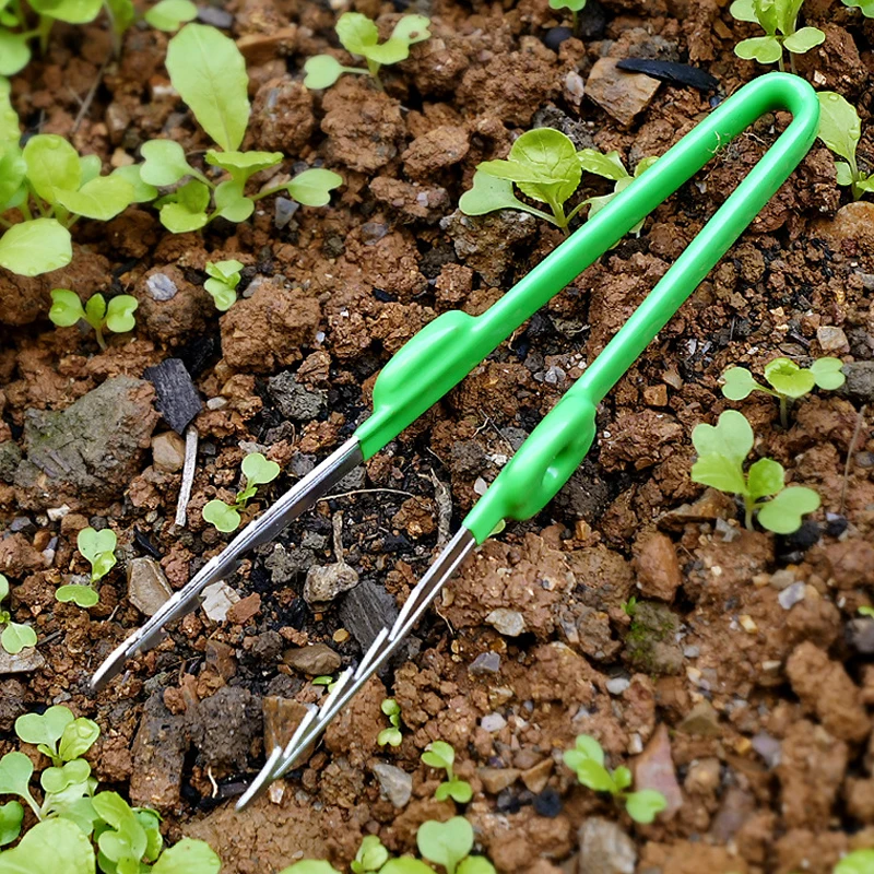 1Pc Gardening Tweezers Succule - مراجعة Planted Clip Tweezers وسعره