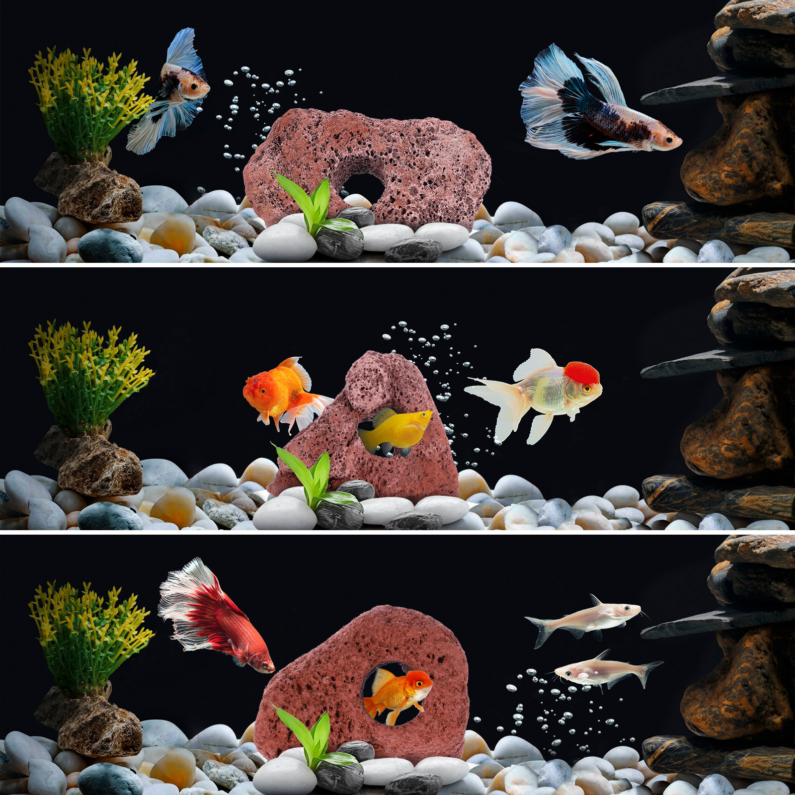 10Pcs Aquarium Stone Cave Orna - مراجعة Planted Aquarium With Rocks وسعره