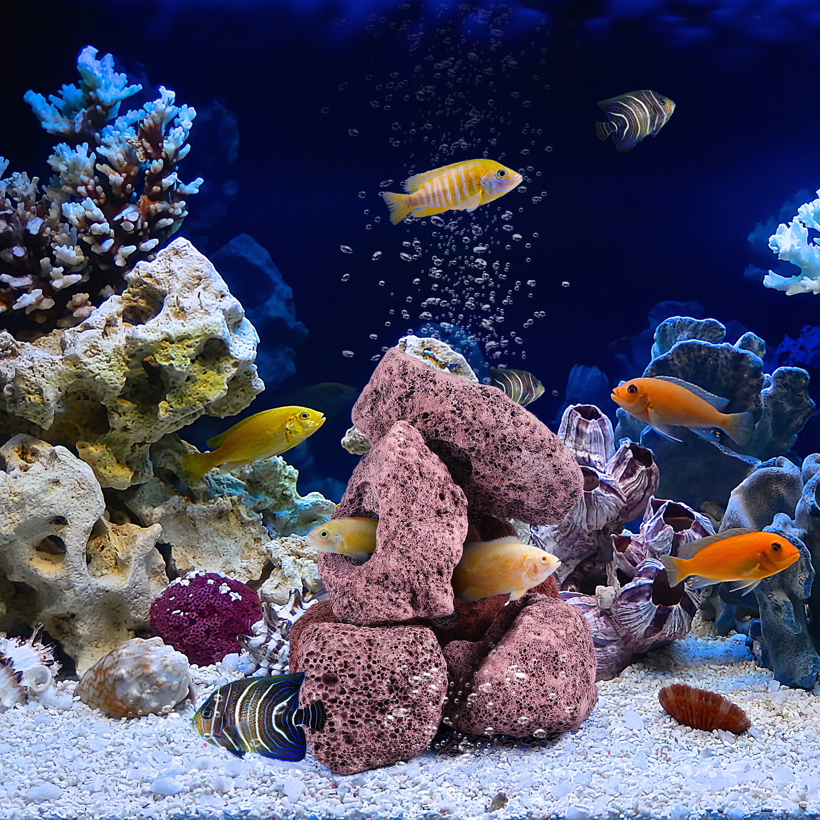 10Pcs Aquarium Stone Cave Orna - مراجعة Planted Aquarium With Rocks وسعره