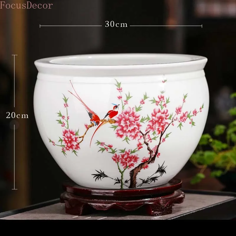 30cm Ceramic Fish Aquarium Fis - مراجعة Planted Aquarium Bowl وسعره