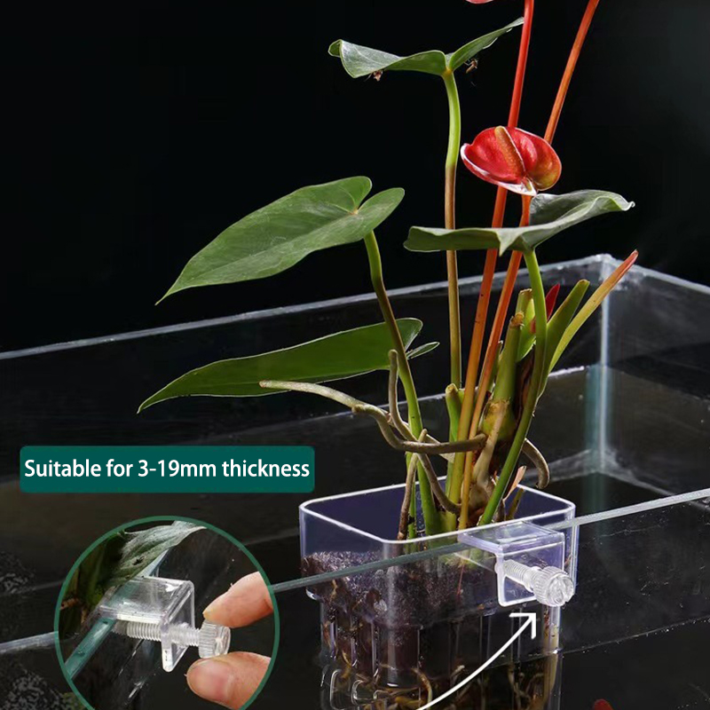 Multifunctional Fish Aquarium  - مراجعة Planted Aquarium With Fish وسعره