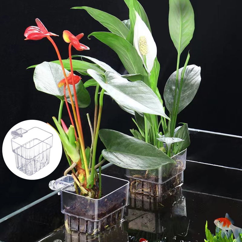 Multifunctional Fish Aquarium  - مراجعة Planted Aquarium With Fish وسعره