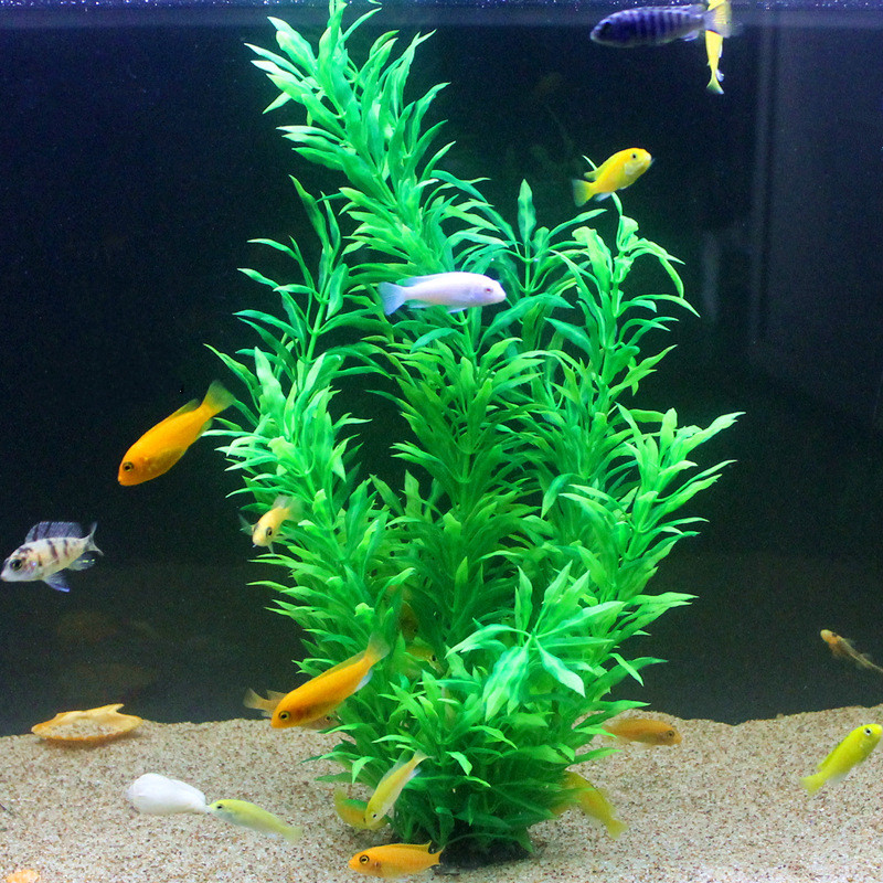 50CM Artificial Fish Tank Rare - مراجعة Aquarium Planted Tank وسعره
