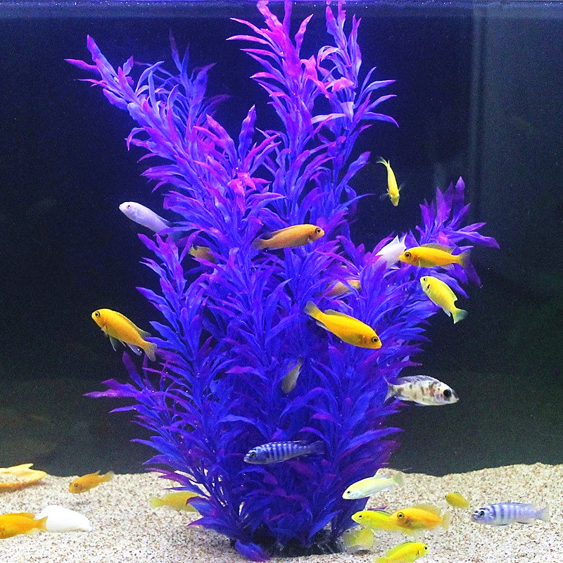 50CM Artificial Fish Tank Rare - مراجعة Aquarium Planted Tank وسعره