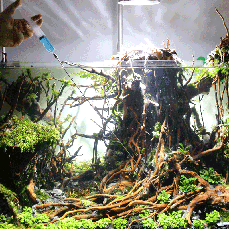 30cm 50cm Aquarium Plants Grow - مراجعة Aquarium Plant Fertilizer وسعره
