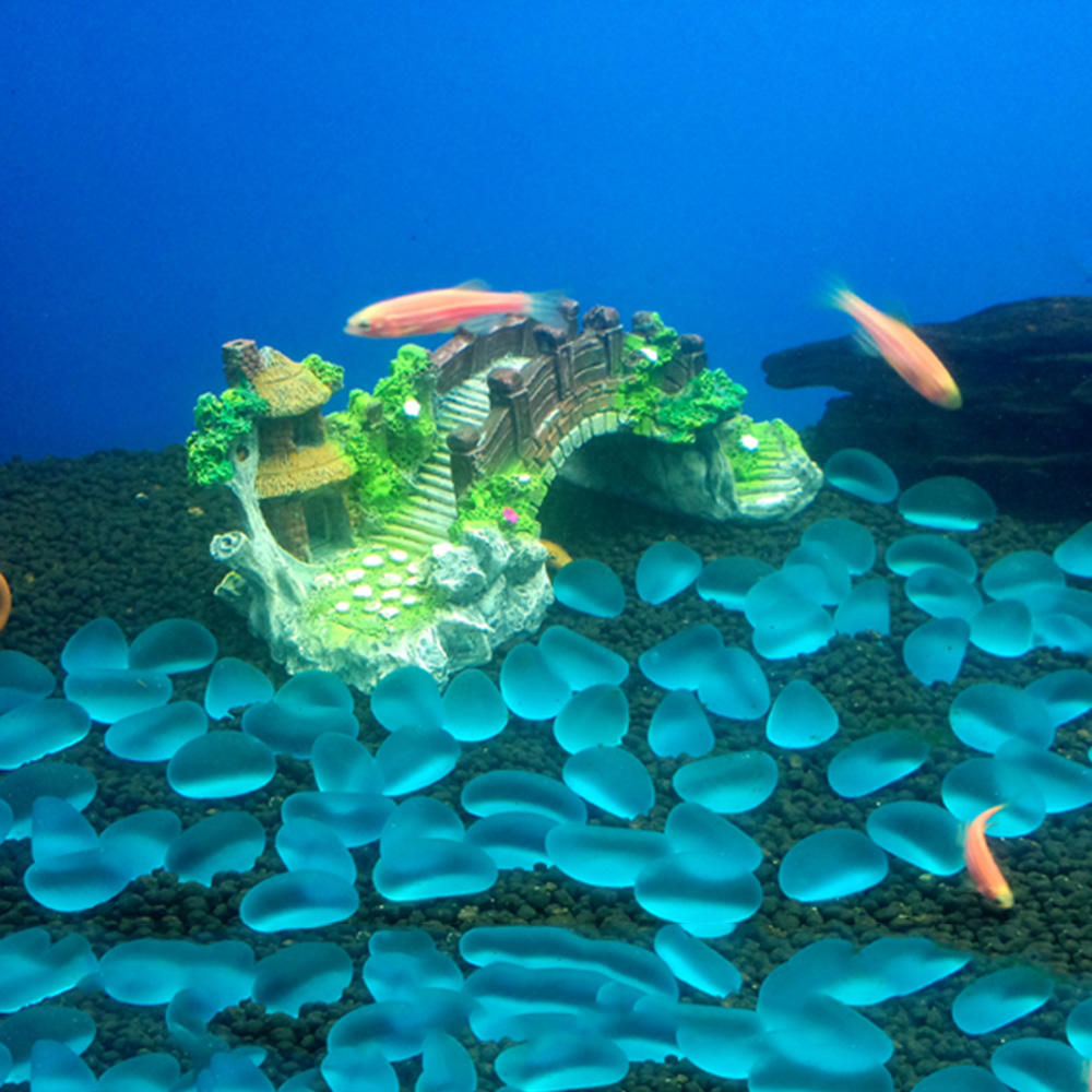 Aquarium Accessories Arbor Tre - مراجعة Planted Aquarium With Rocks وسعره