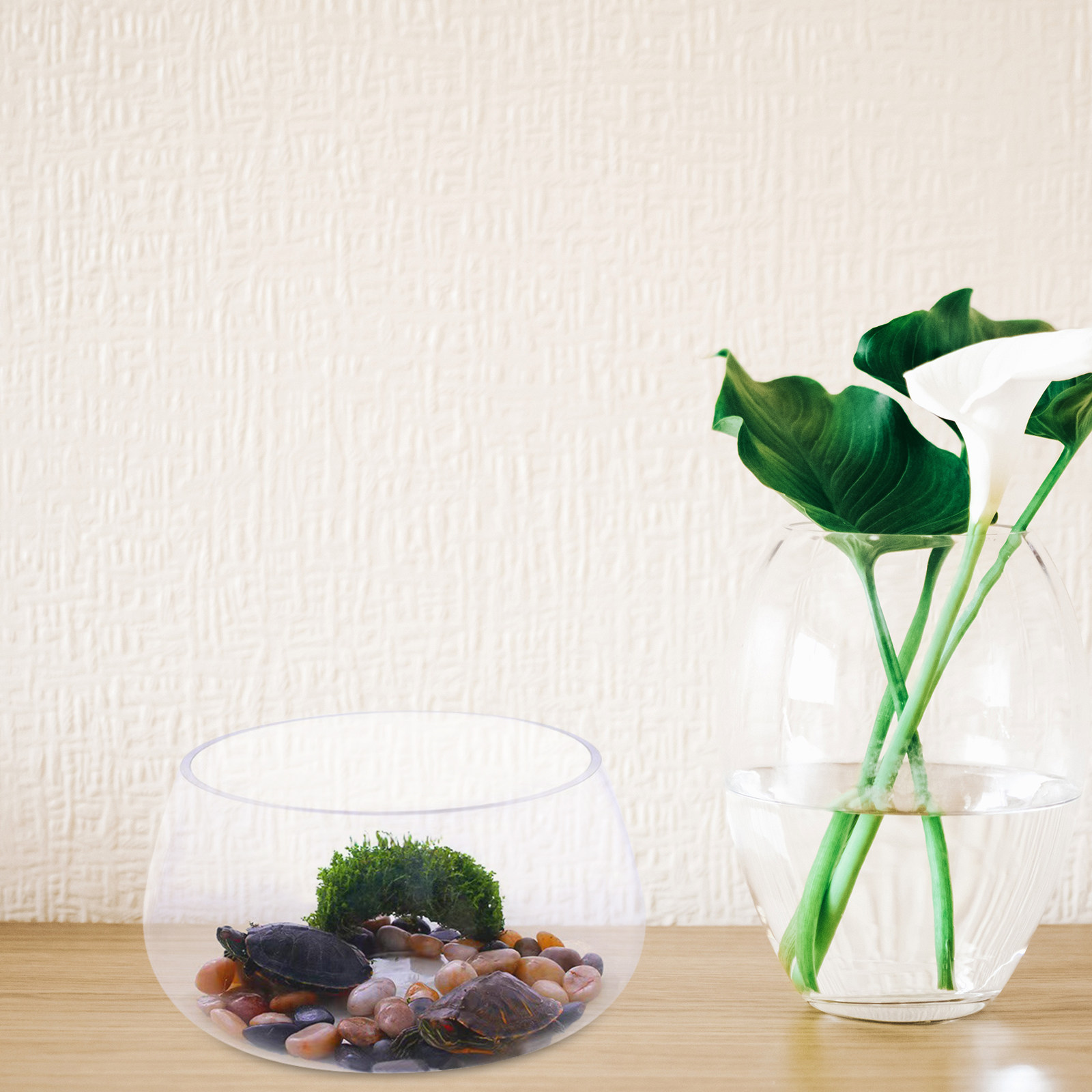 Round Mini Aquarium Transparen - مراجعة Aquarium Planted Shop وسعره