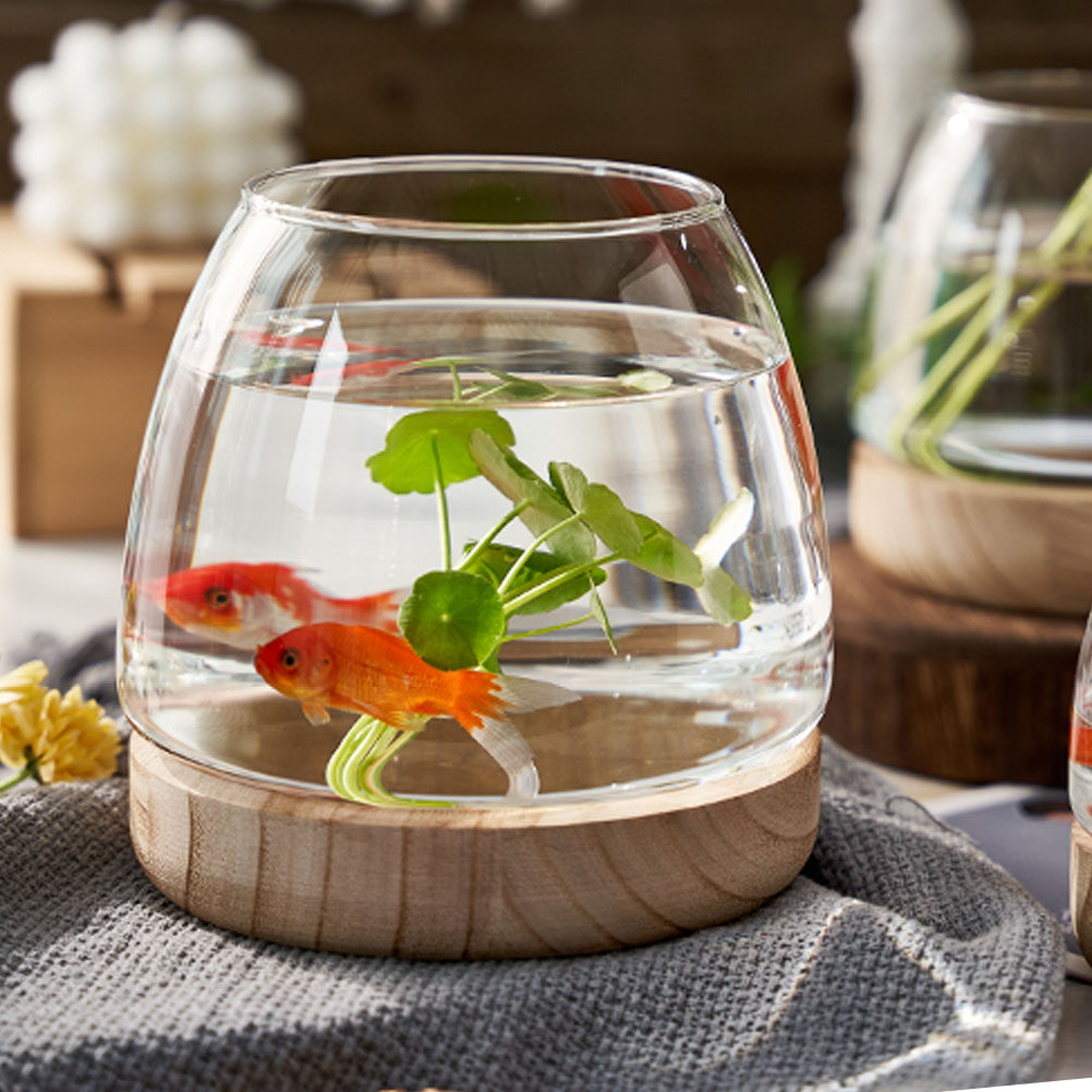 1Set Wooden Base Glass Hydropo - مراجعة Planted Aquarium Bowl وسعره