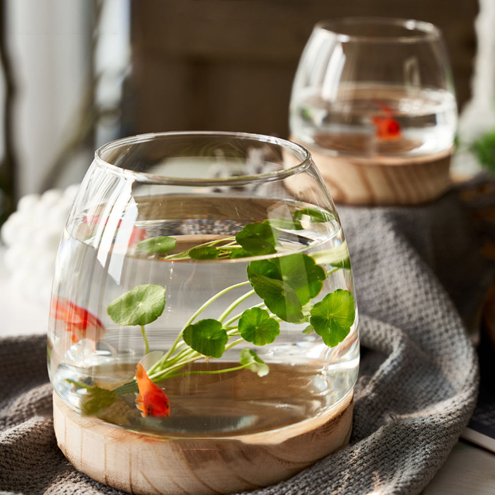 1Set Wooden Base Glass Hydropo - مراجعة Planted Aquarium Bowl وسعره