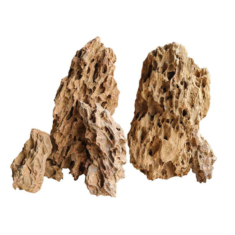 250g 500g 1000g Natural Aquari - مراجعة Aquarium Planted Background وسعره