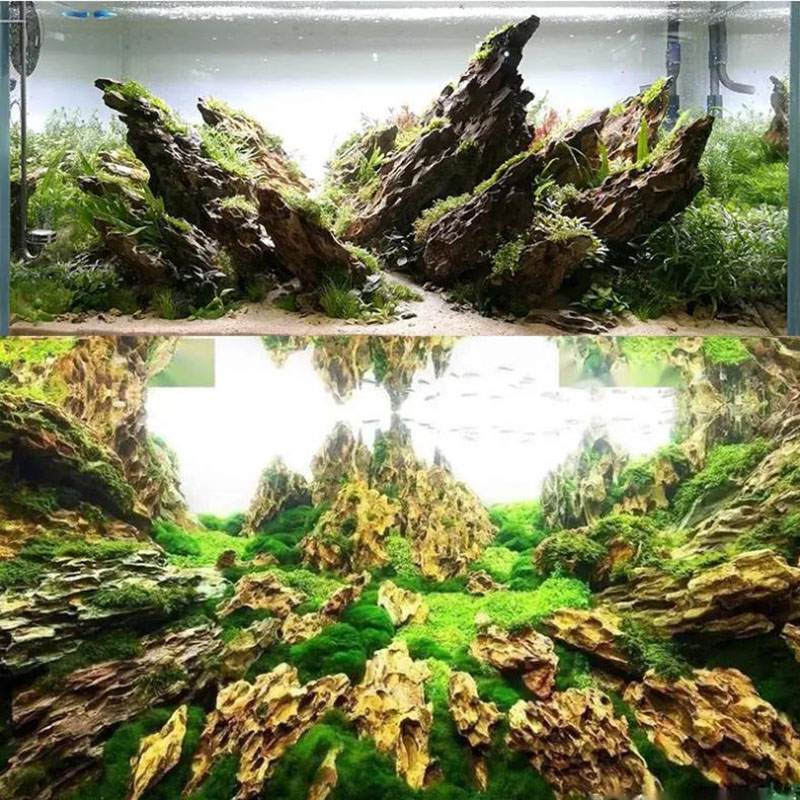 250g 500g 1000g Natural Aquari - مراجعة Aquarium Planted Background وسعره
