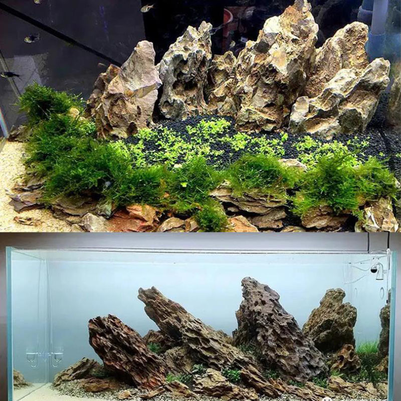 250g 500g 1000g Natural Aquari - مراجعة Aquarium Planted Background وسعره