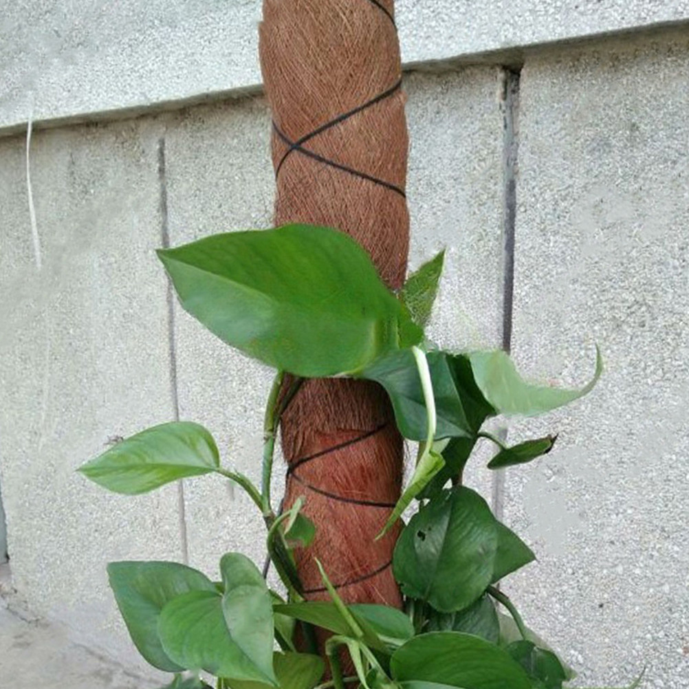 5Pcs Realistic Palm Tree Bark  - مراجعة Aquarium Planted Background وسعره
