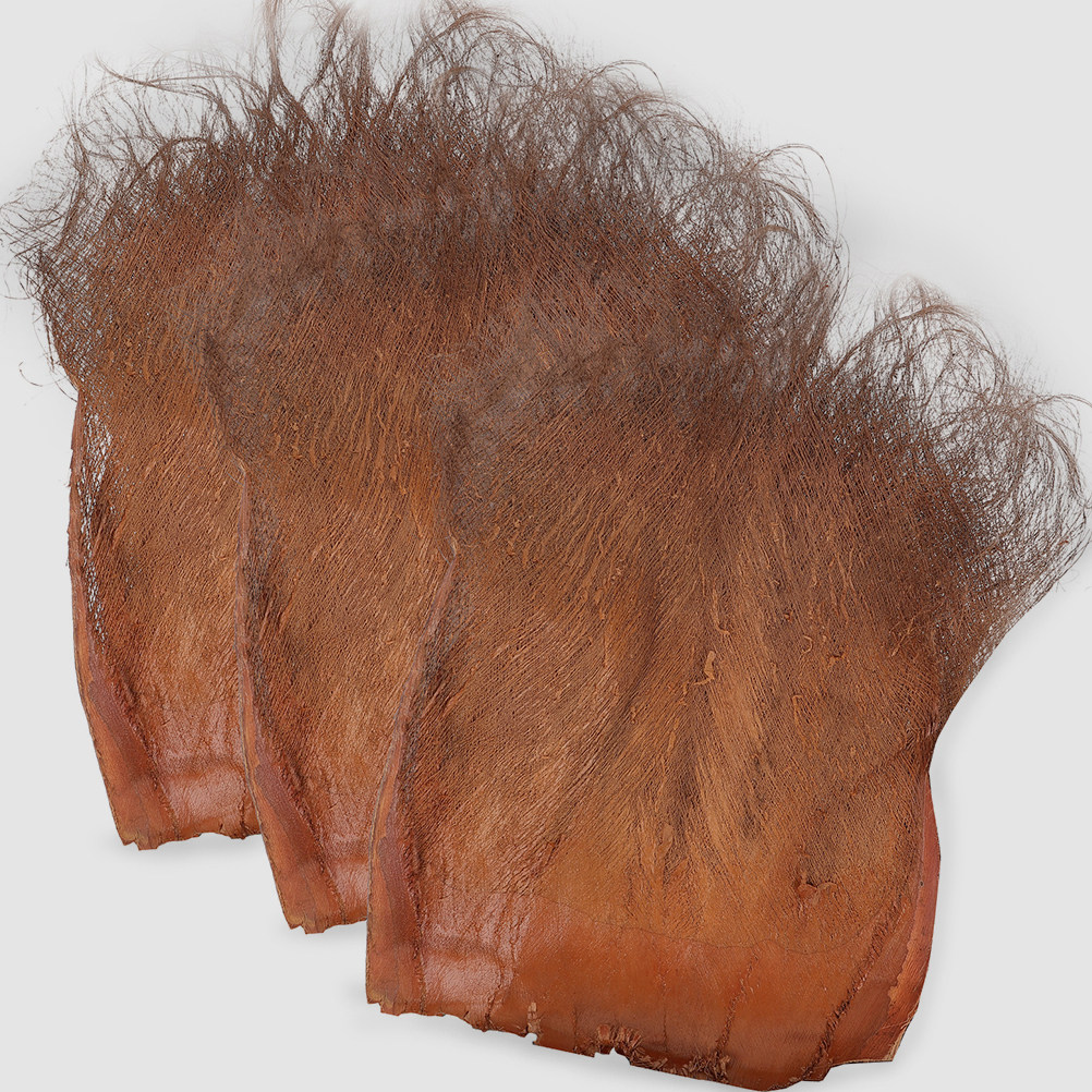 5Pcs Realistic Palm Tree Bark  - مراجعة Aquarium Planted Background وسعره