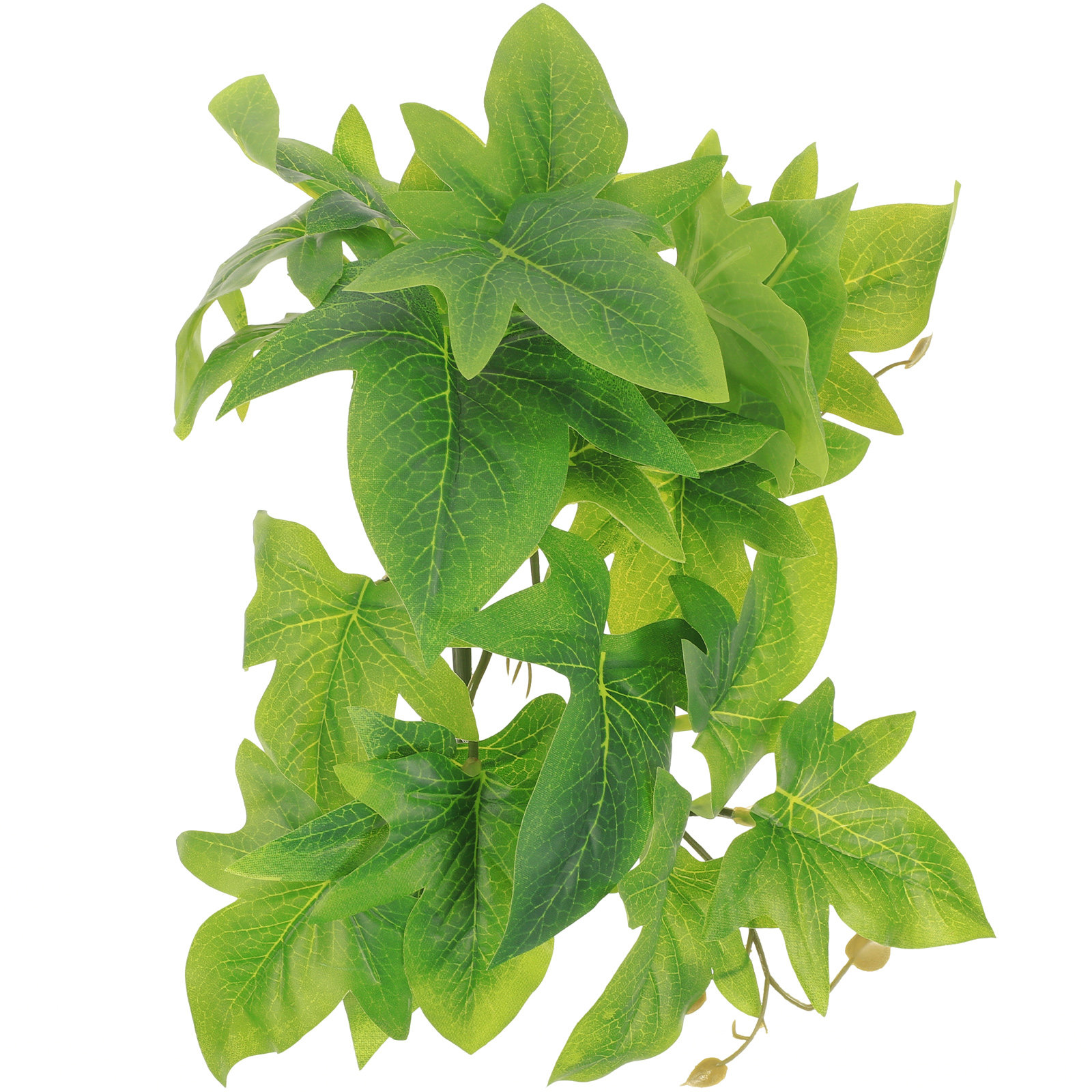 Reptile Terrarium Plant Wall M - مراجعة Aquarium Plant Vine وسعره