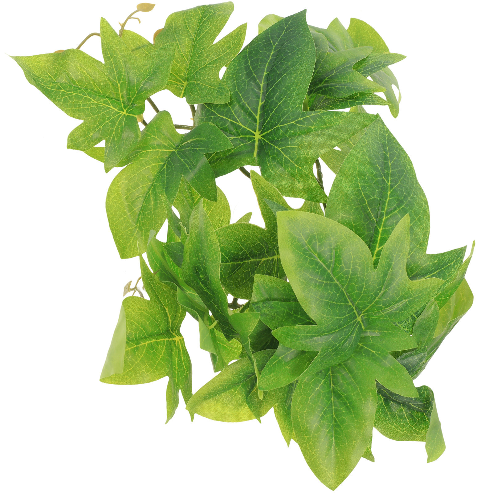 Reptile Terrarium Plant Wall M - مراجعة Aquarium Plant Vine وسعره