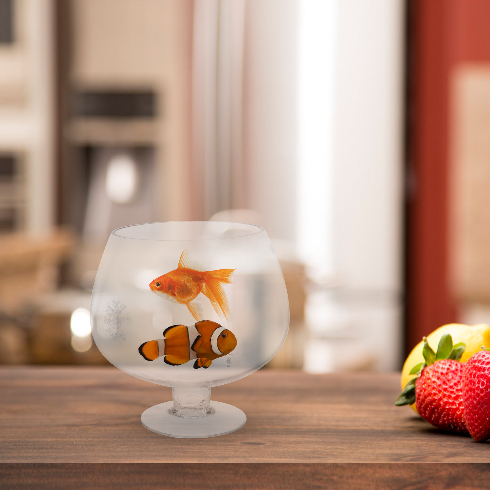Transparent Round Glass Fish B - مراجعة Planted Aquarium Bowl وسعره